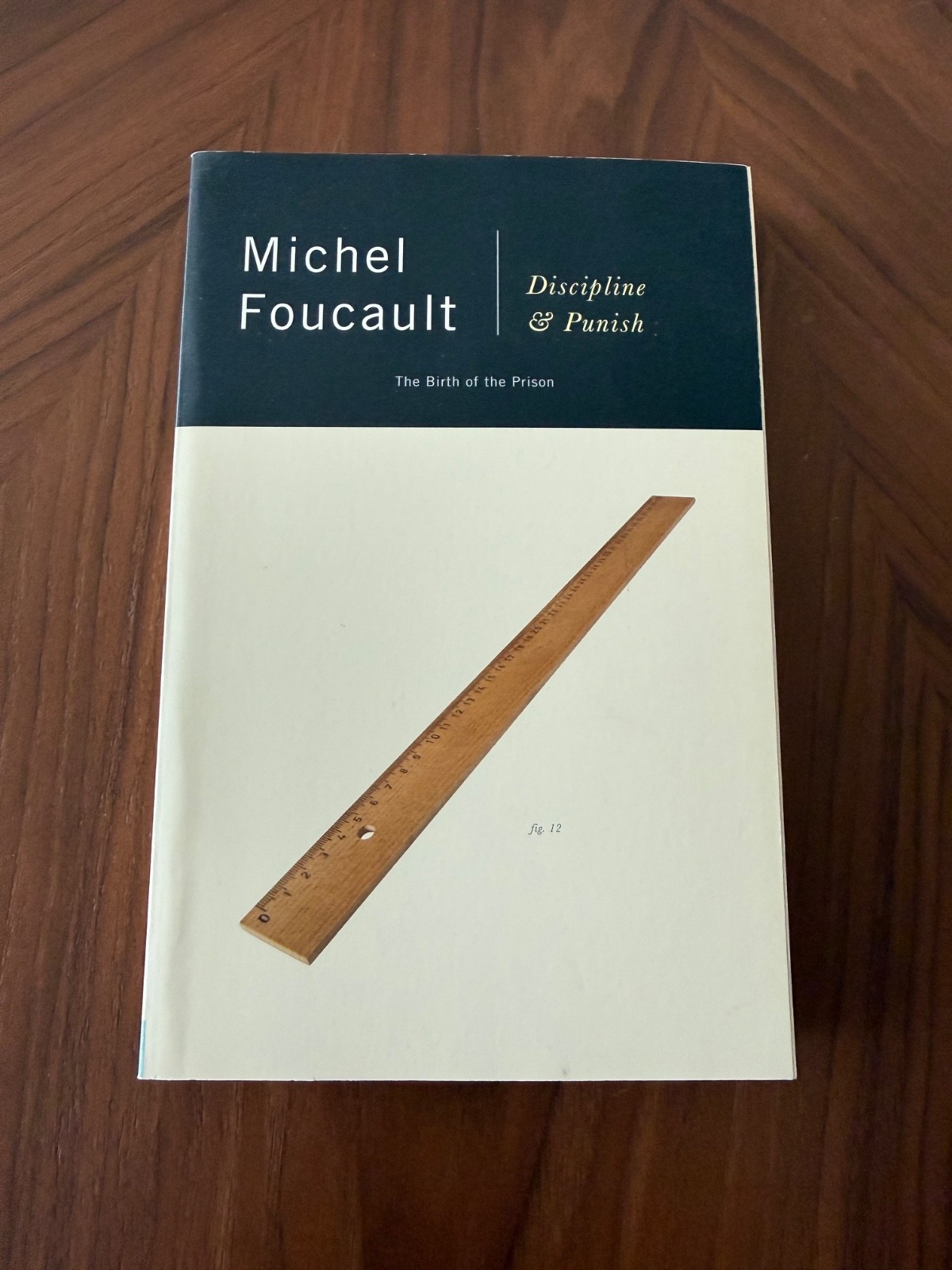 Discipline and Punish by Michel Foucault (softcover) ISBN 9780679752554