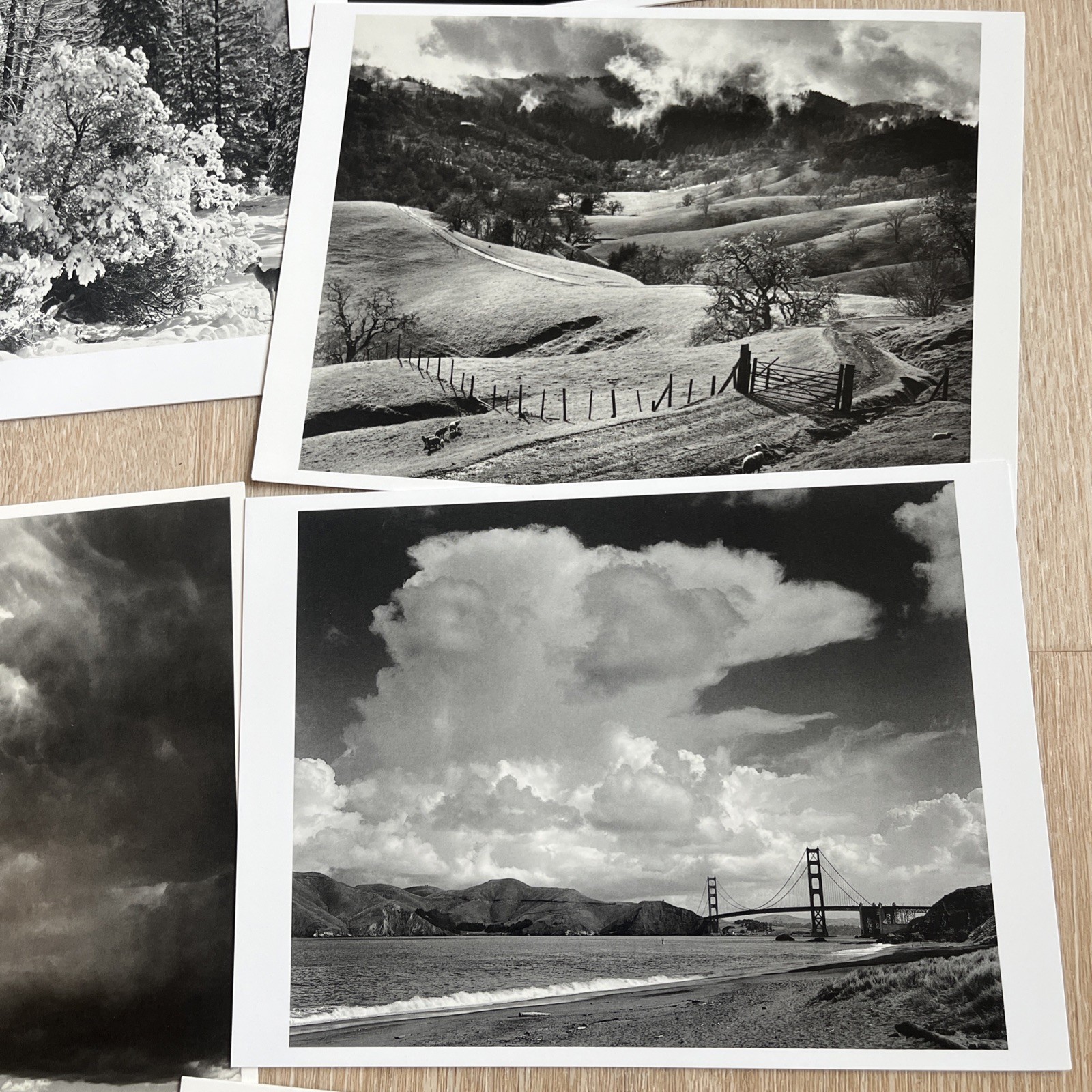 Vtg Ansel Adams Estate Lot 8p Book Collection Boxed Greeting Cards National Park