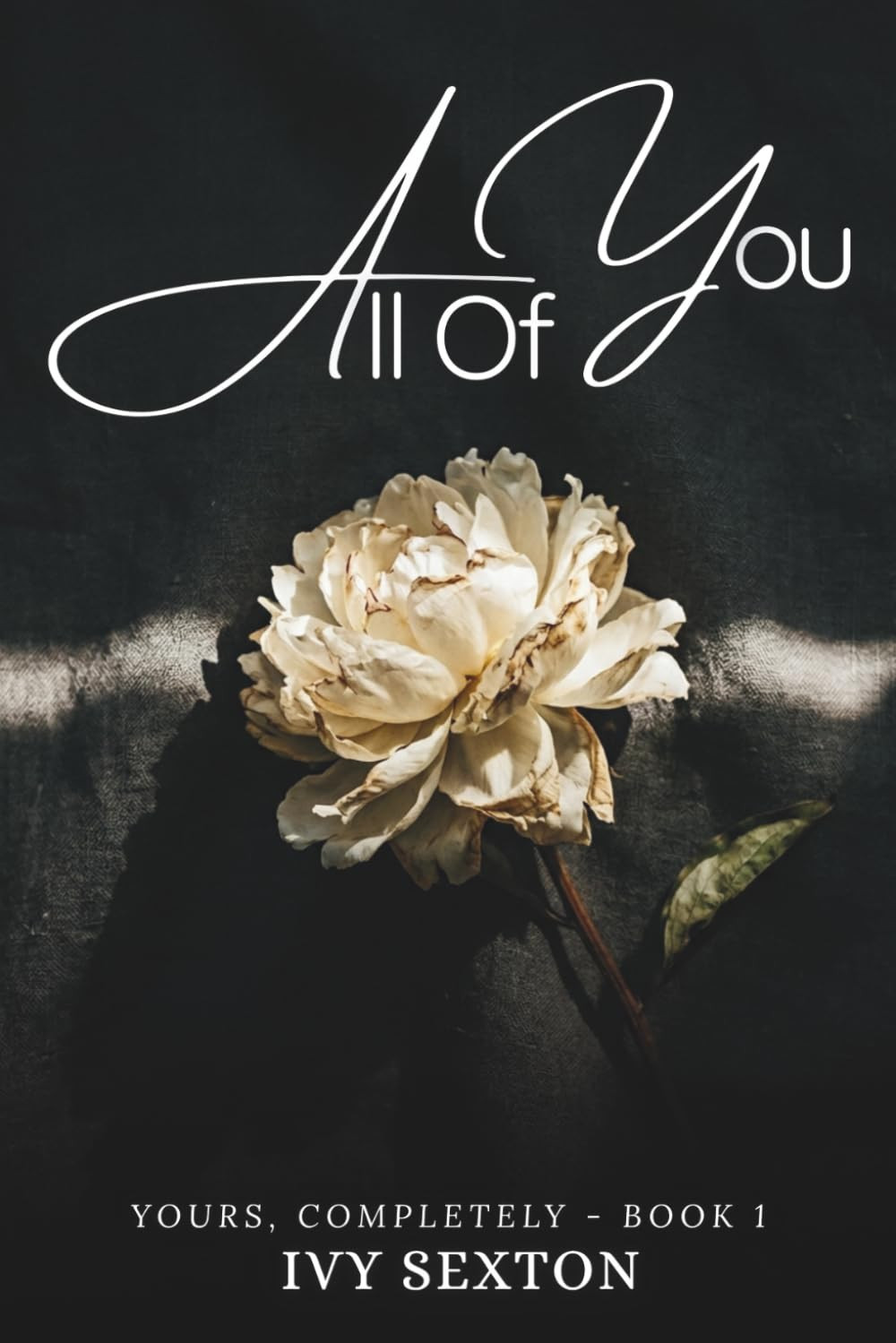All of You: Book 1 — Yours, Completely Series