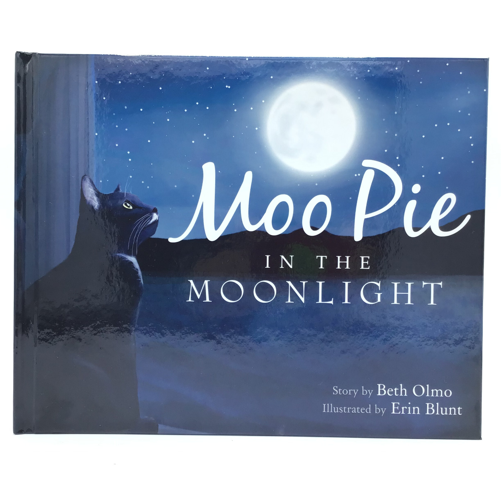 Moo Pie In The Moonlight Black Cat Children Book By Beth Olmo Baby Story Books