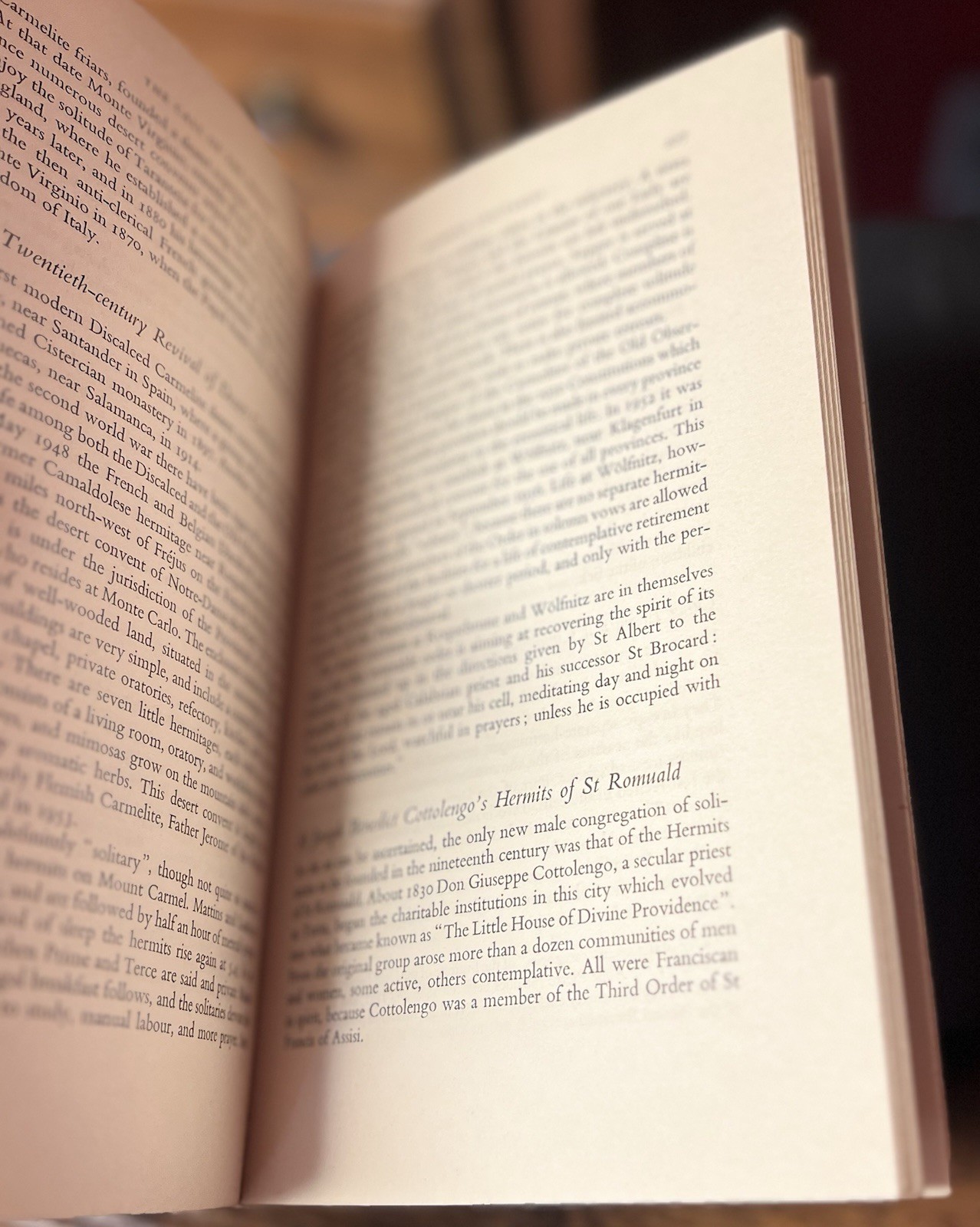 The call of the desert: the solitary life in the Christian Church