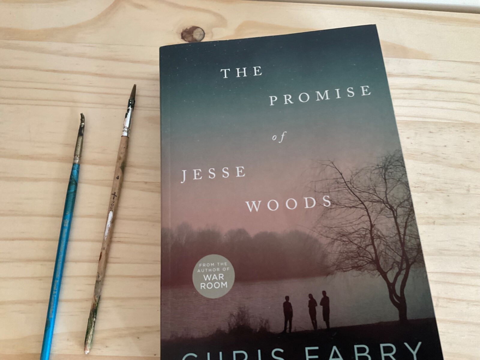 The Promise of Jesse Woods by Chris Fabry