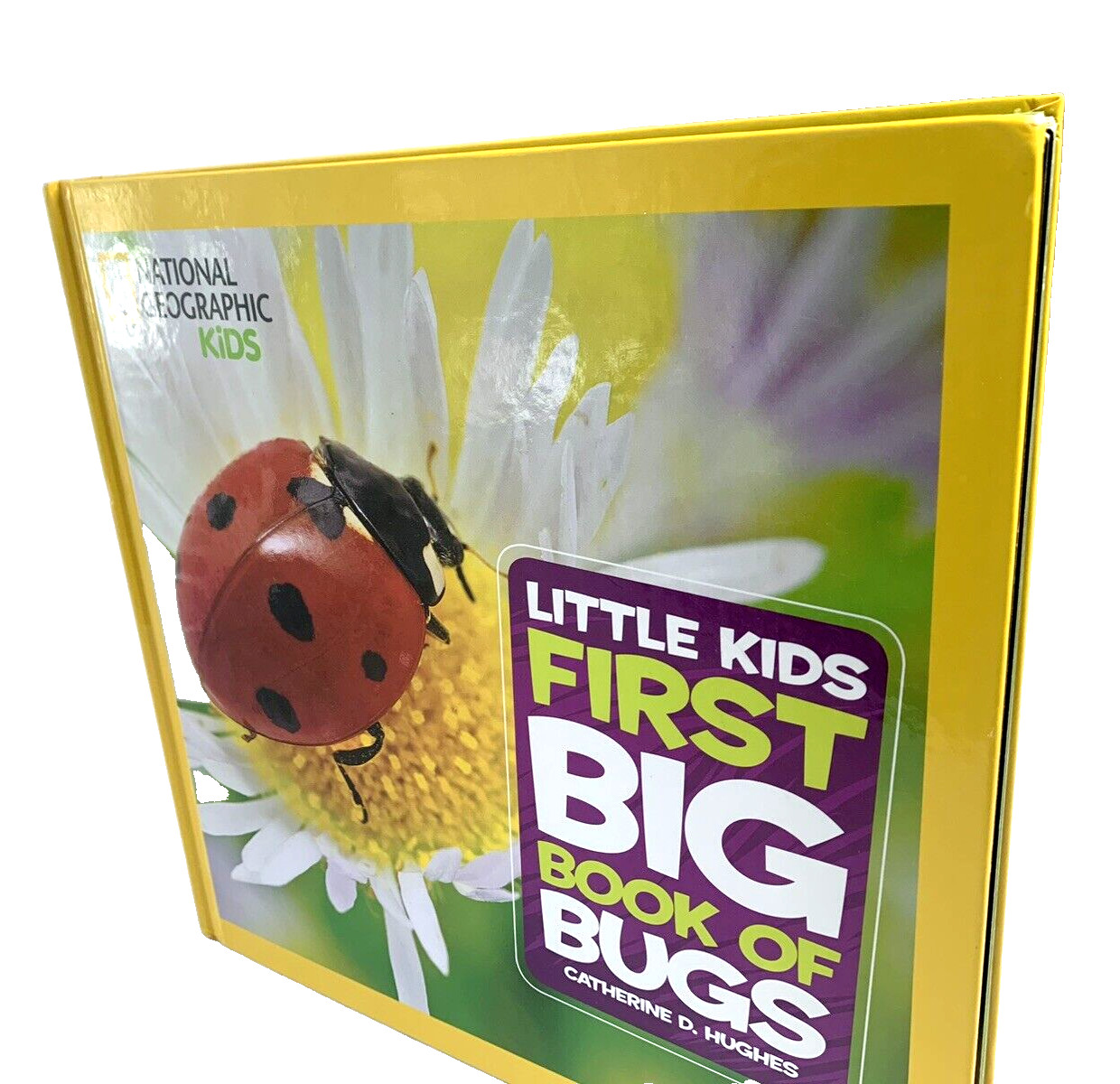 Big Book of Bugs From National Geographic by Catherine D. Hughes…