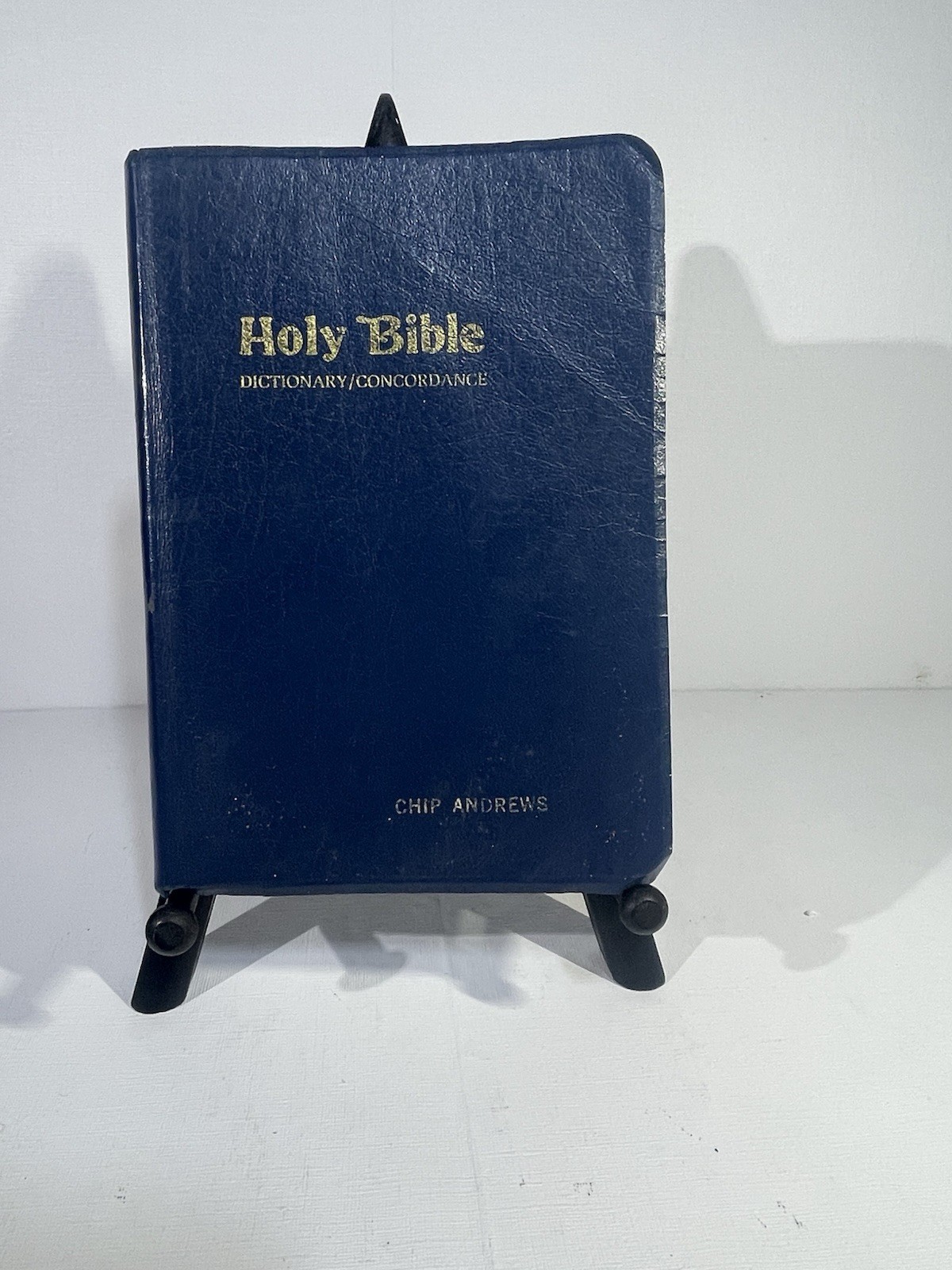 holy bible King James Version World Bible Publishers Blue With Dictionary