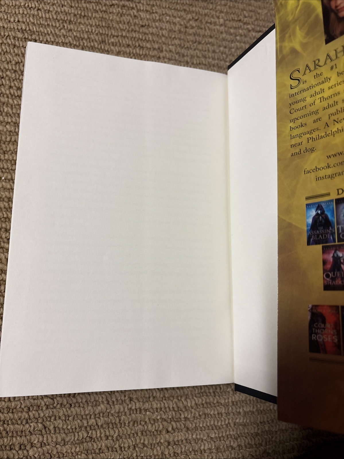 Kingdom of Ash by Sarah J. Maas Hardcover Original Cover OOP
