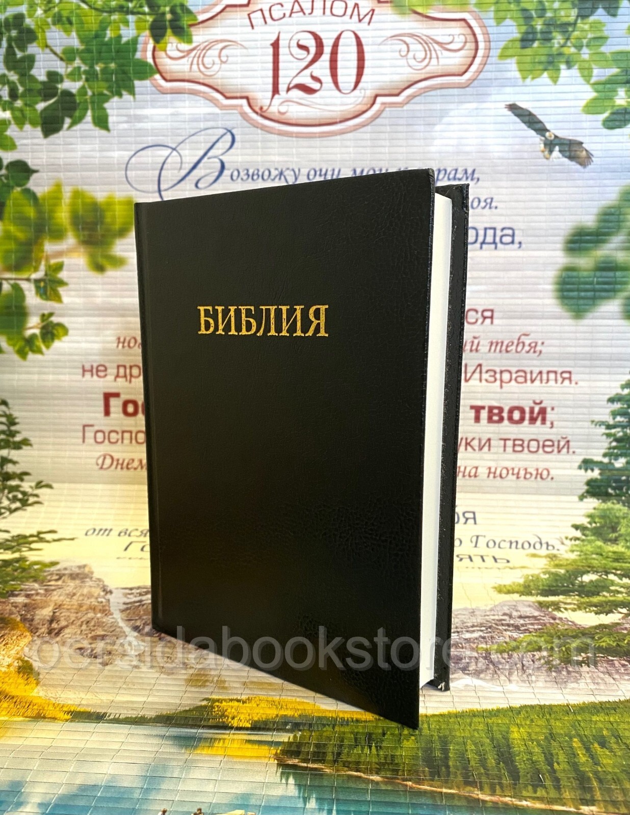 Russian Medium Bible size Библия Средний Формат (18Х12 См)