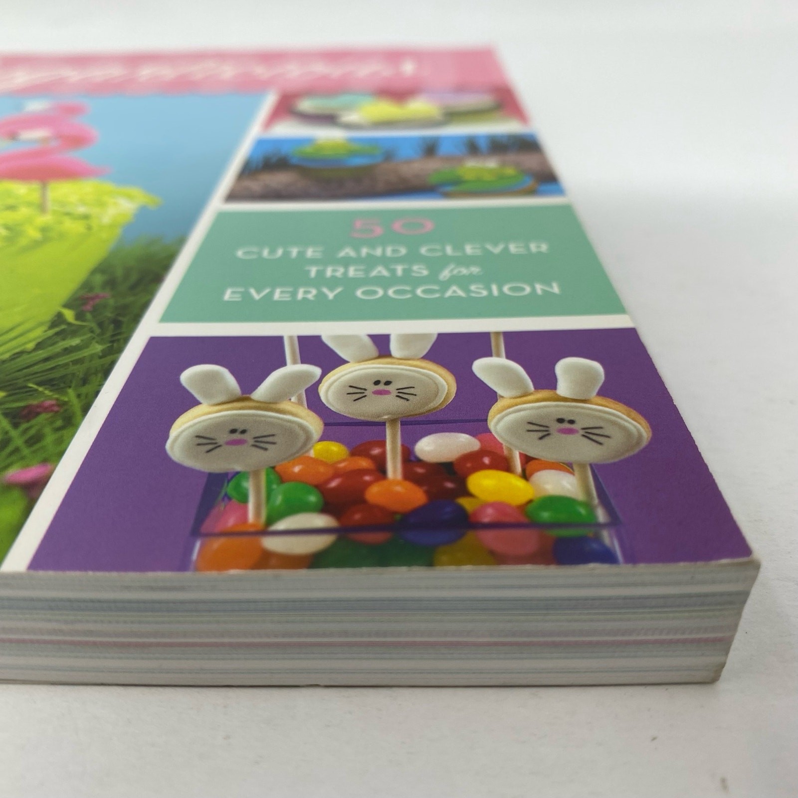 Sugarlicious by Meaghan Mountford cake decorating book