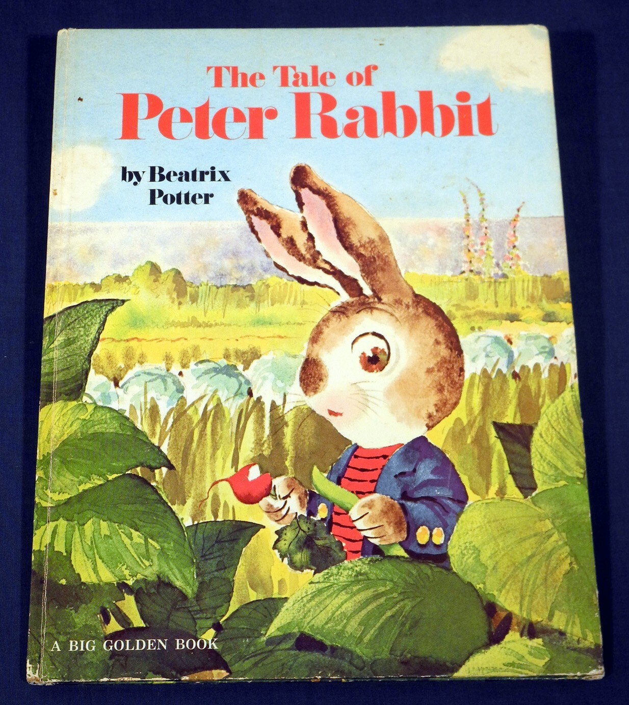 The Tale of Peter Rabbit by Beatrix Potter illustr Rod Ruth 1976 Big Golden Book