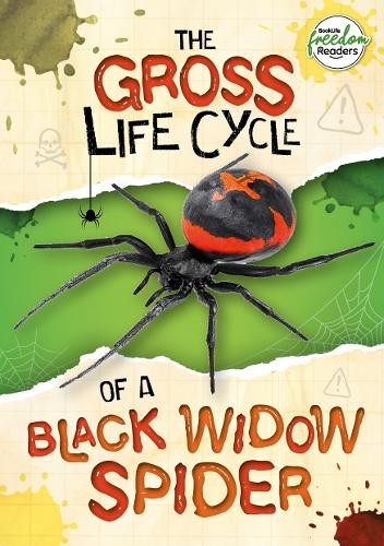 William Anthony The Gross Life Cycle of a Black Widow Spider (Paperback)