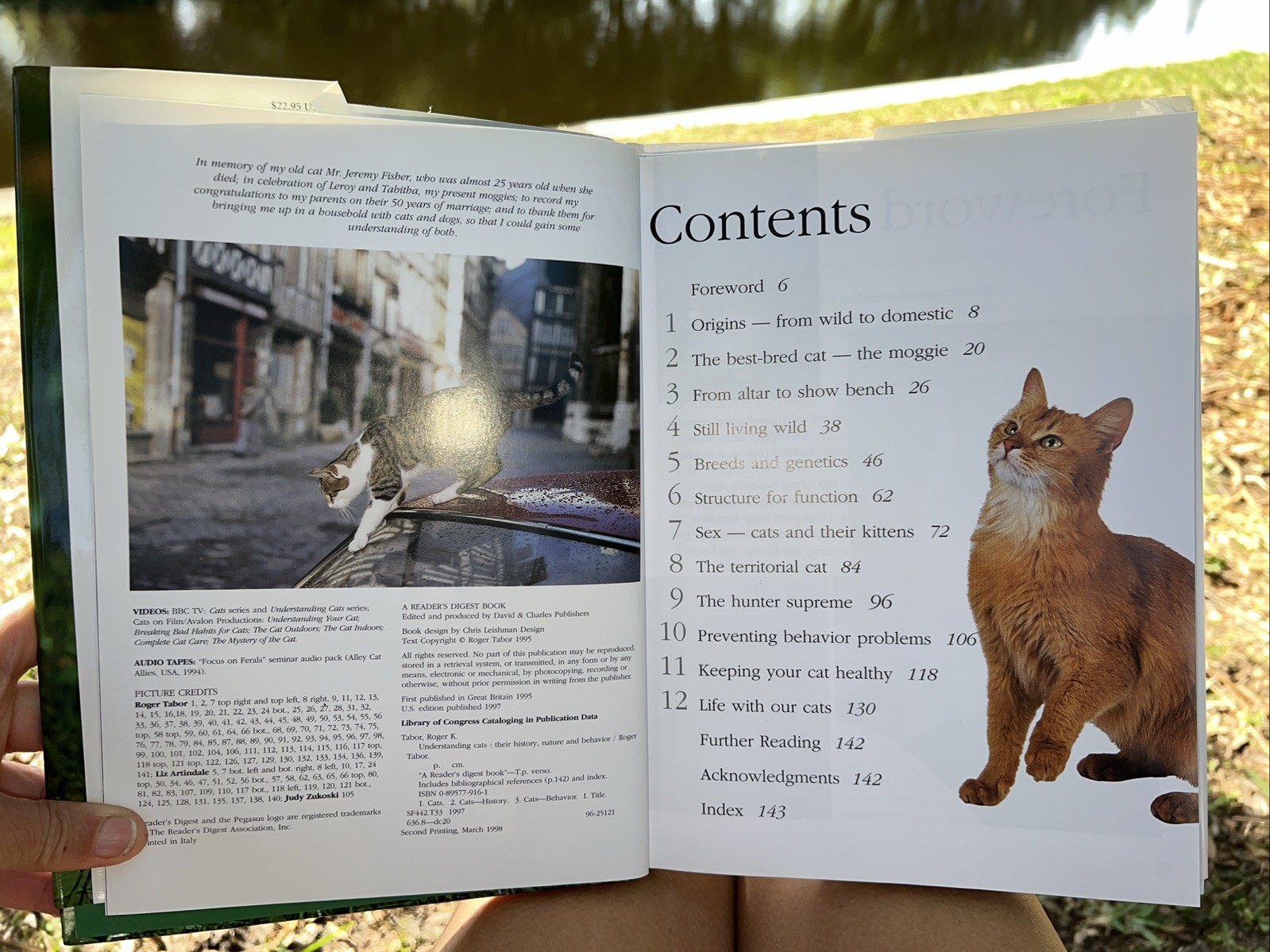 Understanding Cats: Their History, Nature, and Behavior by Tabor, Roger HB DJ