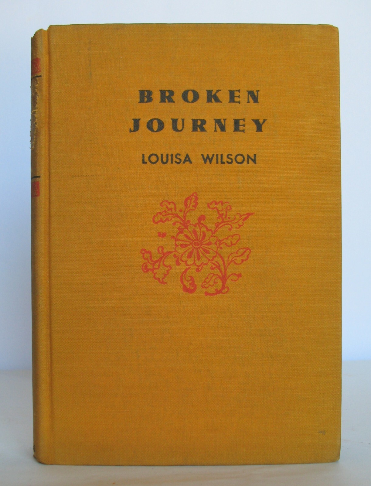 1935 BROKEN JOURNEY by Louisa Wilson ~~ First Edition ~~ 343 Pages