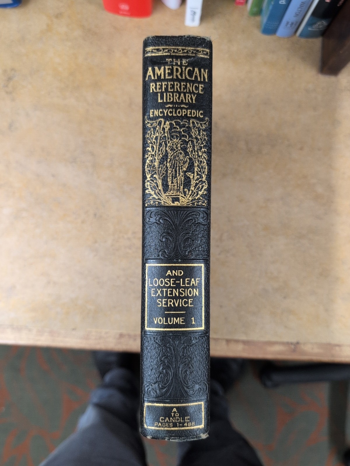 American Reference Library Encyclopedic 10 Volume dark green Cover 1924