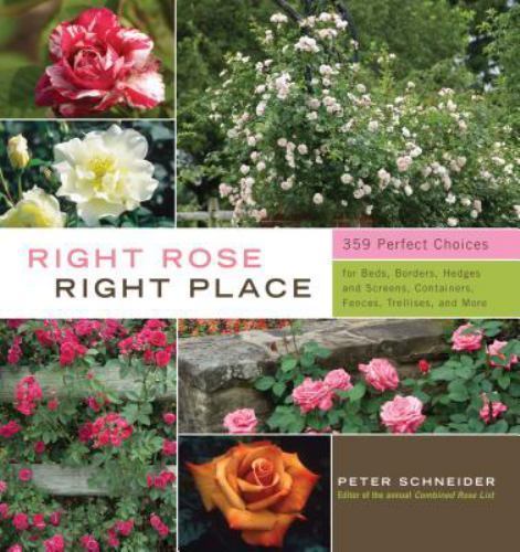 Right Rose, Right Place, Schneider, Peter, 9781603424387