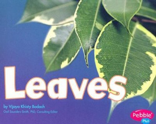Leaves Perfect Vijaya Khisty Bodach