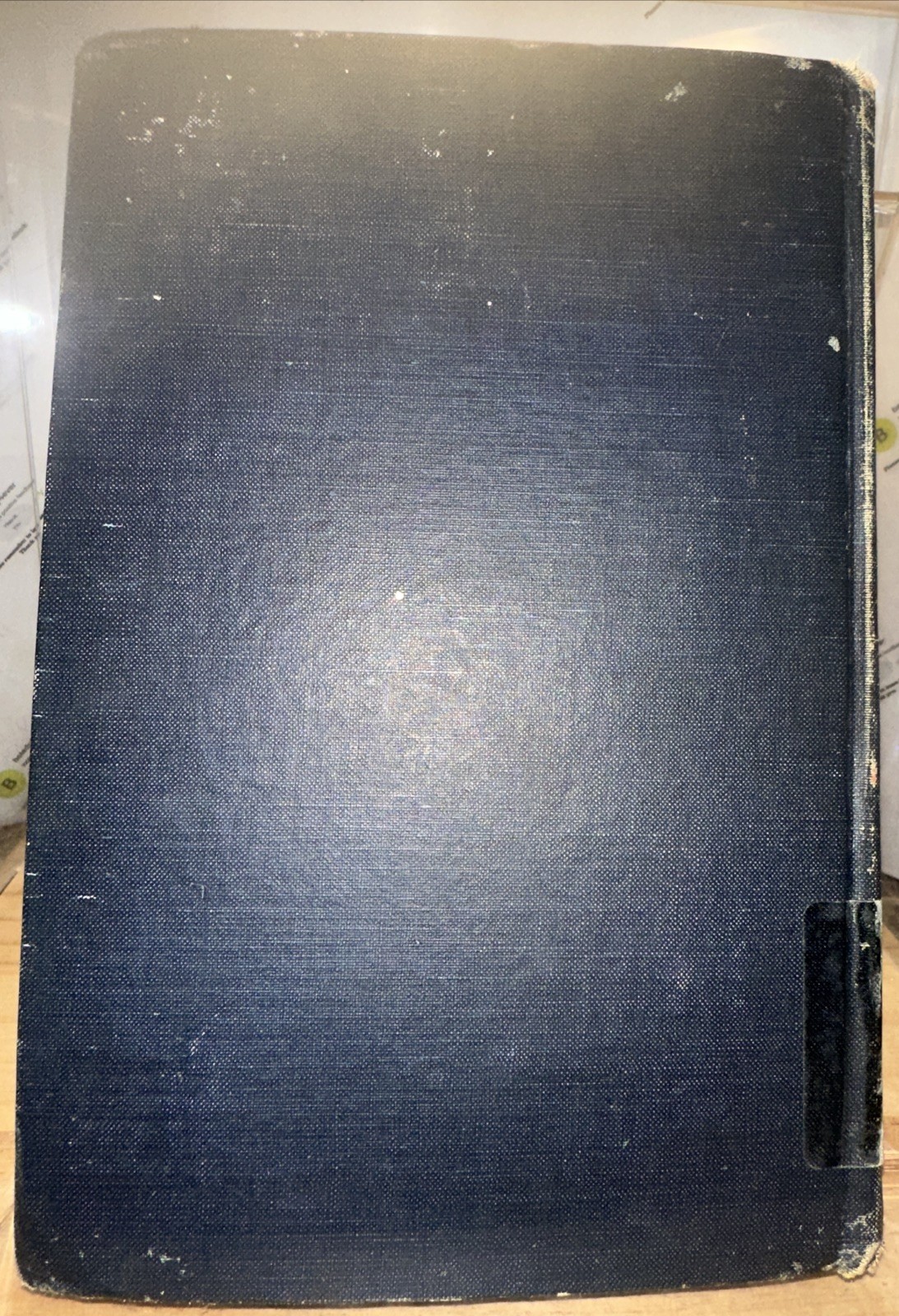 The Thirteenth Greatest of Centuries by Walsh, James Joseph 1907