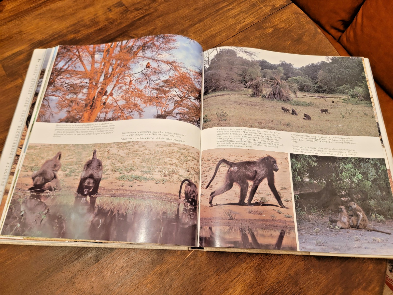 The Empty Eden Mervyn Dykes Hans Strohhacker 1990 HC DJ African Wildlife Safari