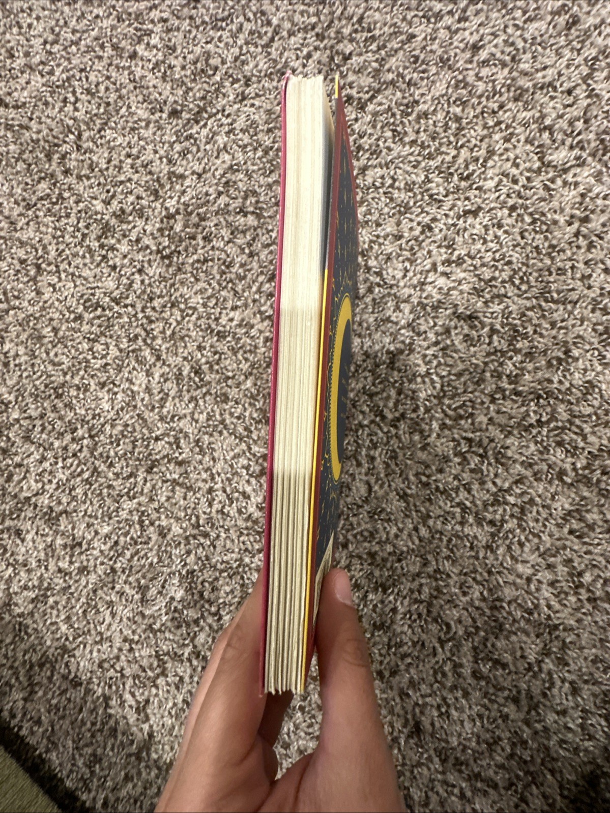 The Alchemist by Paulo Coelho (2014, Paperback)