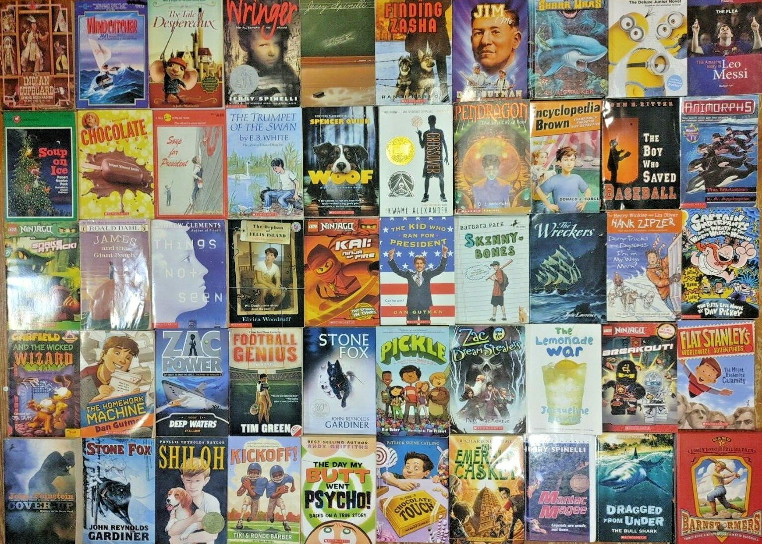 RANDOM Lot of 100 4th Grade AR Chapter Books RL Level 4.0-4.9 Homeschool Teacher
