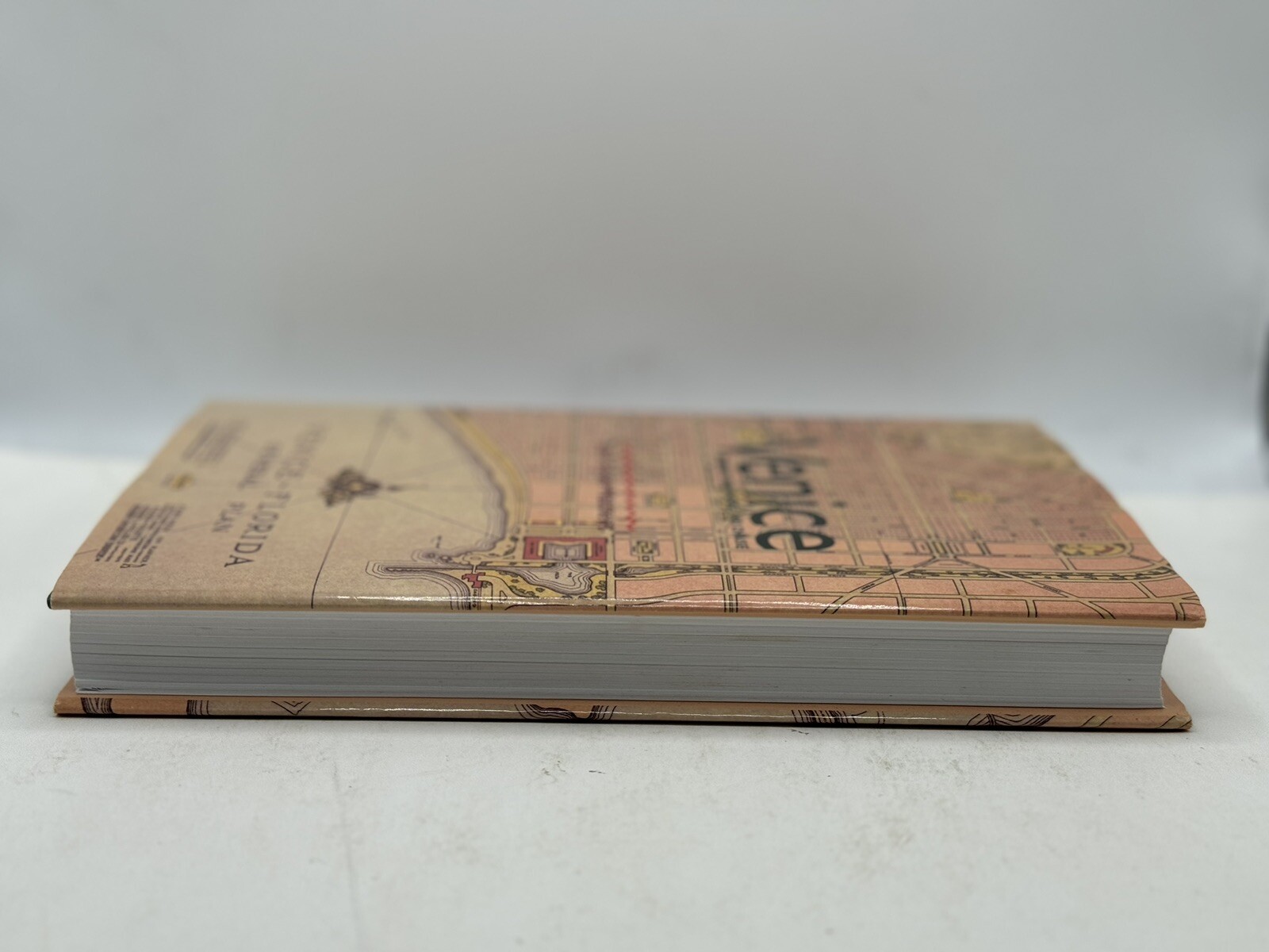 Venice Journey From Horse And Chaise by Janet Snyder Matthews Signed 2017 976