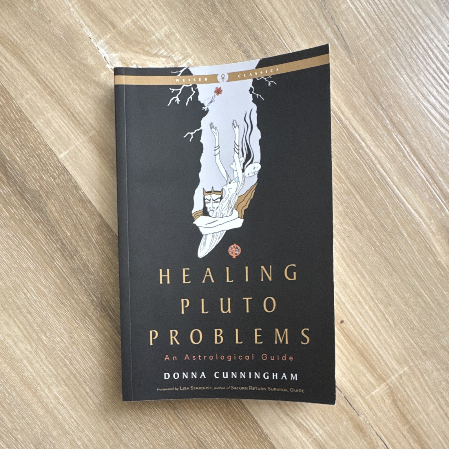 Donna Cunningham Healing Pluto Problems Astrological Guide PB 2023 Ed