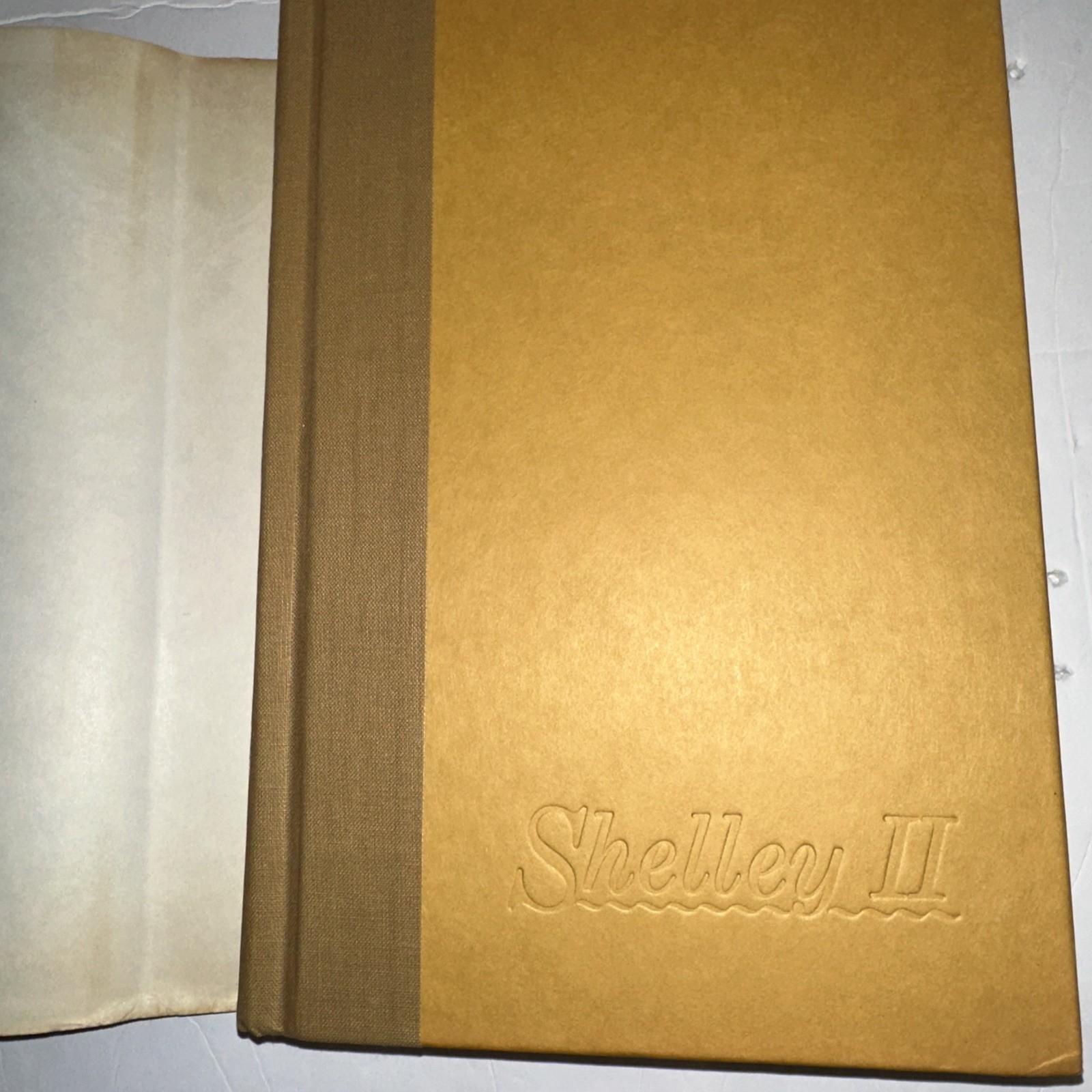 Shelley II The Middle Of My Century Autobiography Vintage 1989 HCDJ
