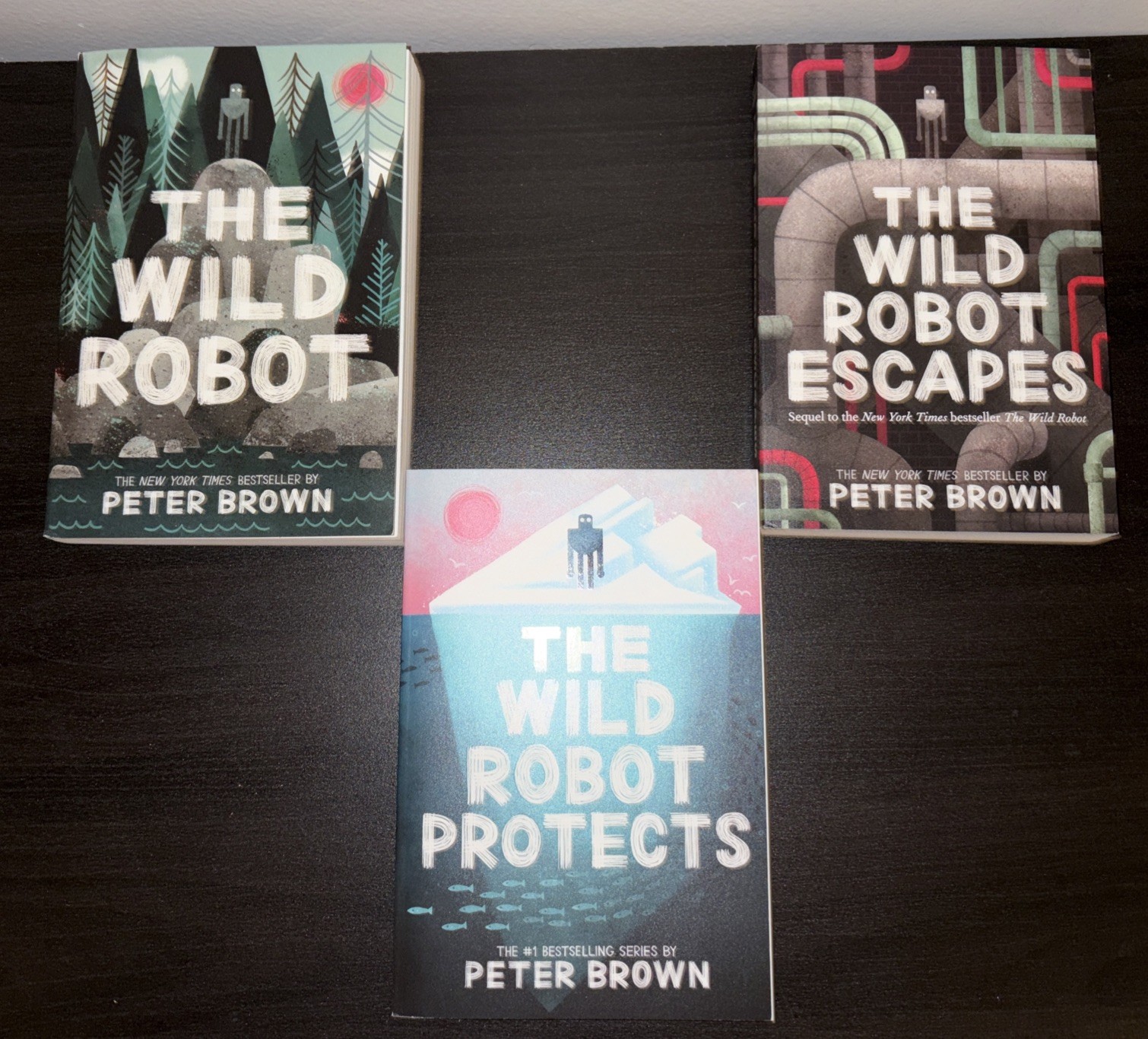Wild Robot Series 3 Books Collection Set By Peter Brown NEW Paperback