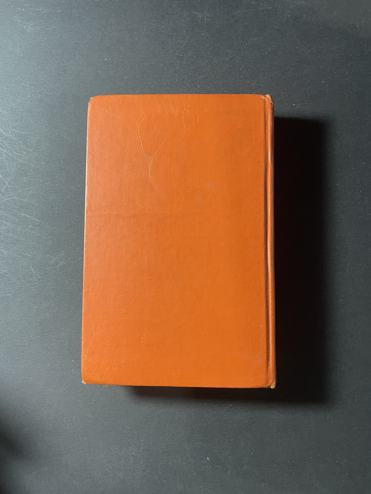 The Pony Rider Boys in New Mexico Frank Gee Patchin Vintage 1910 Adventure Book