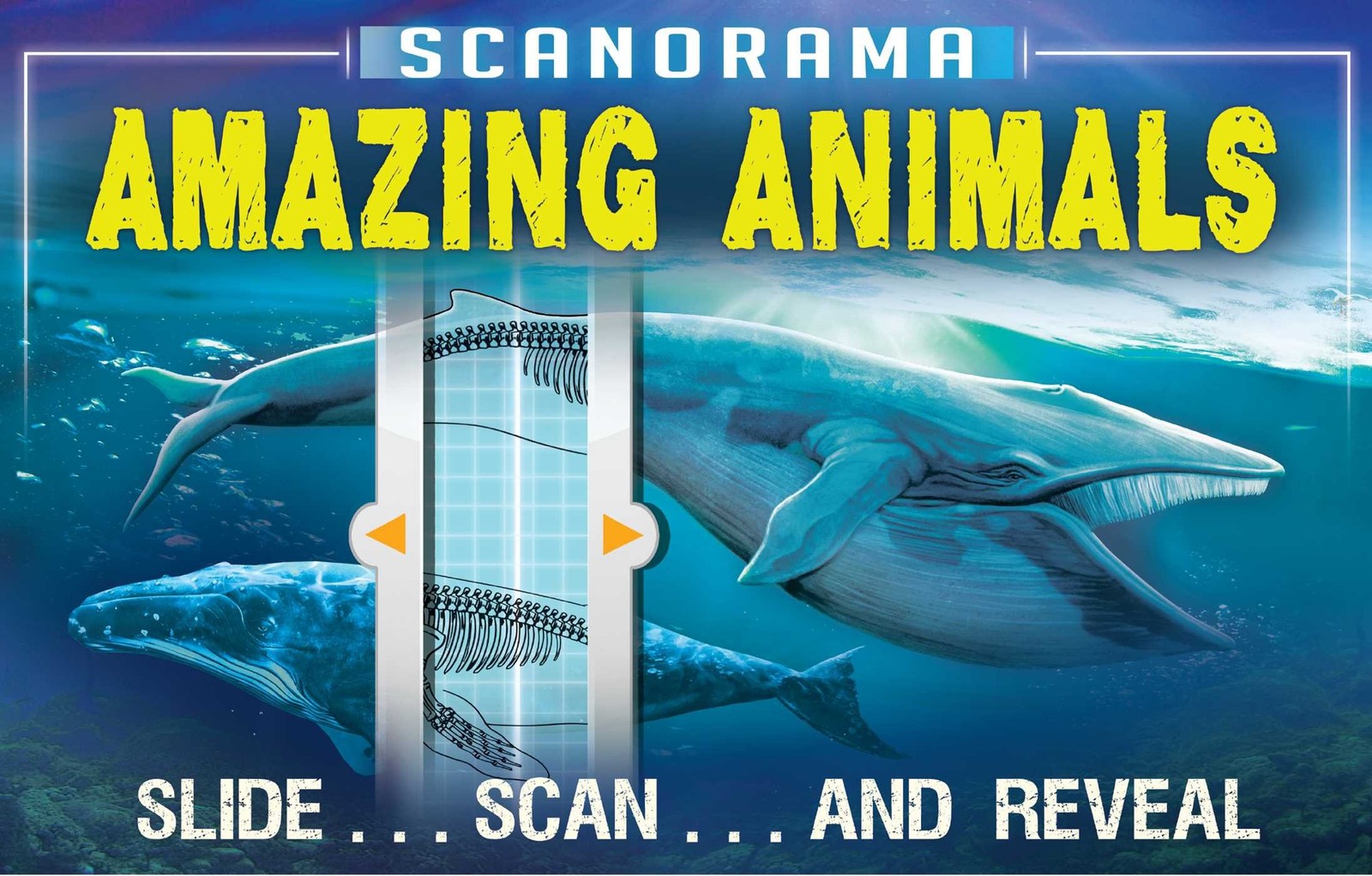 Scanorama: Amazing Animals – hardcover Claybourne, Anna