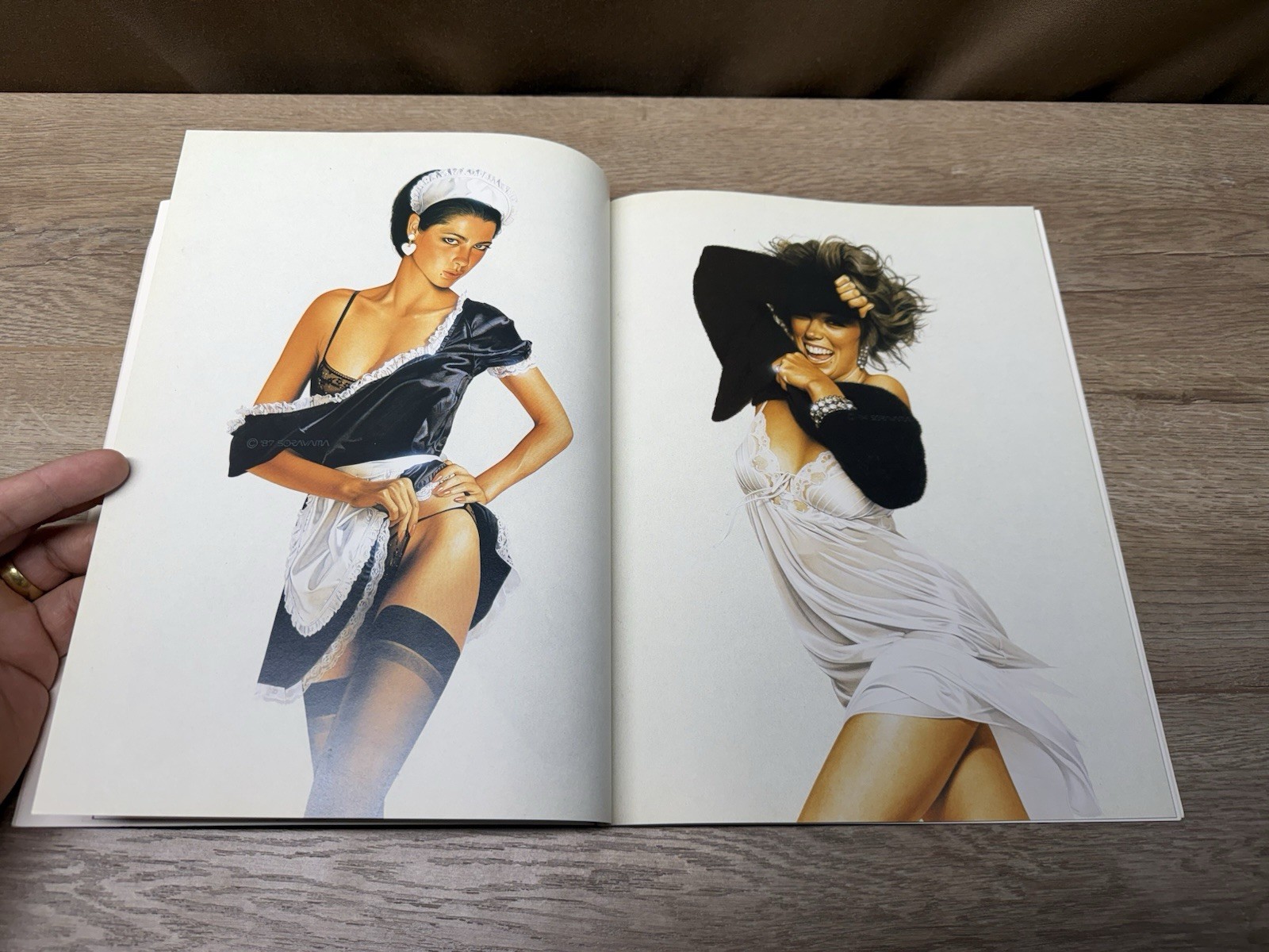 Vintage 1993 Hajime Sorayama Sexy Robot Illustrations Sci-Fi Art Book
