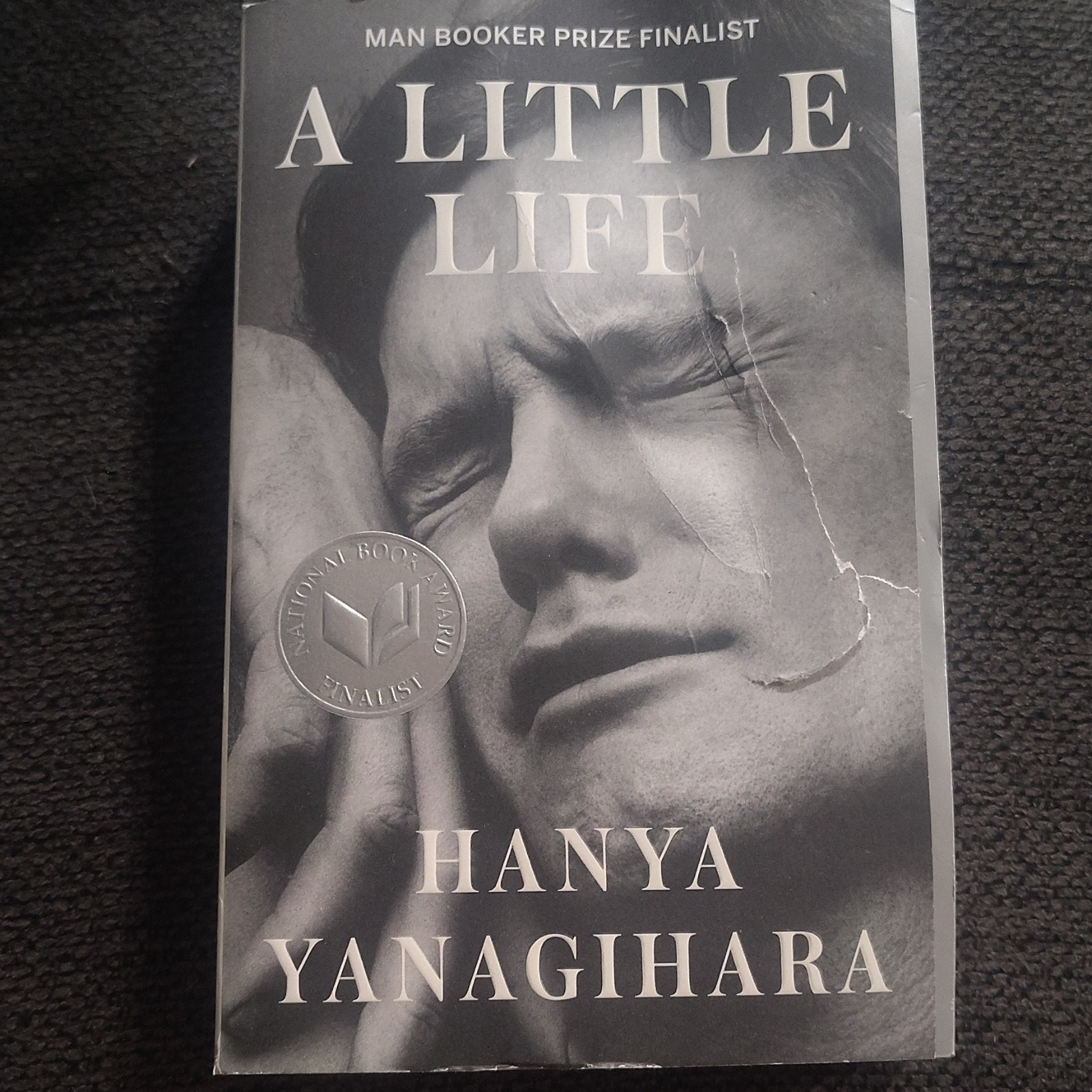 A Little Life by Hanya Yanagihara 2016 Trade Paperback Novel, Anchor, 832p