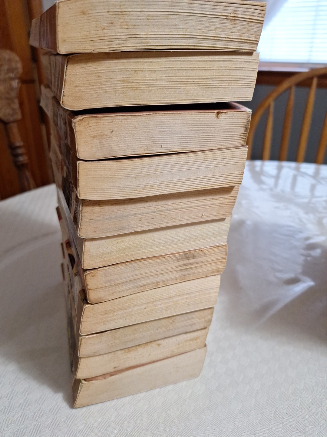 DONALD CLAYTON PORTER THE WHITE INDIAN SERIES Lot of 26 Books Bantam