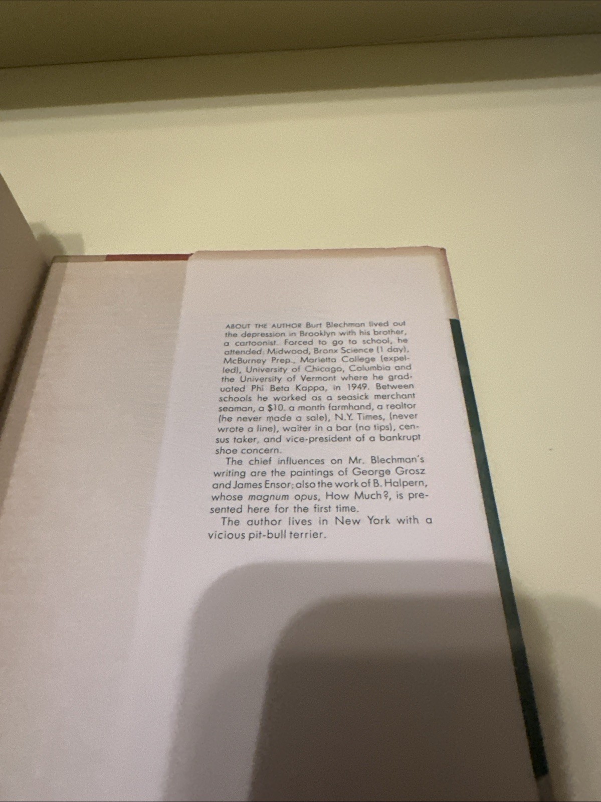 1961 FIRST PRINTING VINTAGE HOW MUCH? NOVEL BY BURT BLECHMAN COLLECTIBLE BOOK F1