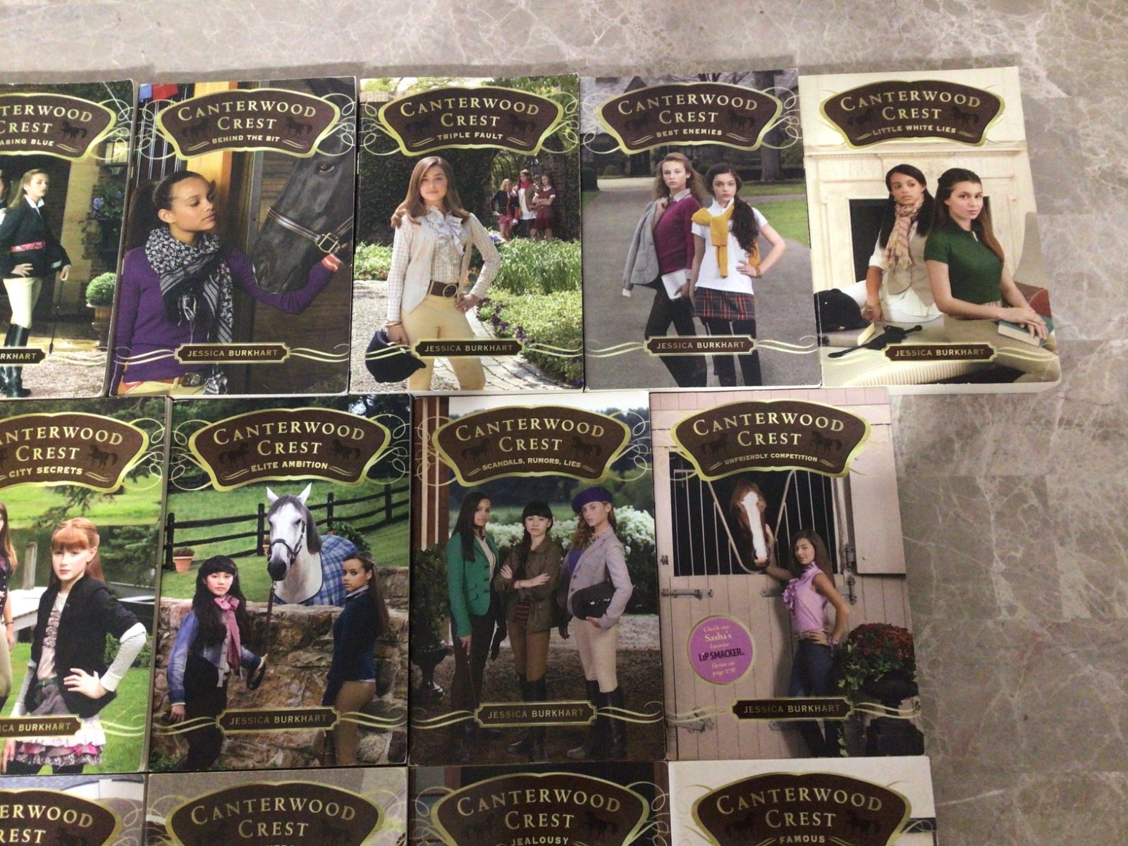 Lot Of 19 Canterwood Crest 1-18 & Super Special Jessica Burkhart PB Books