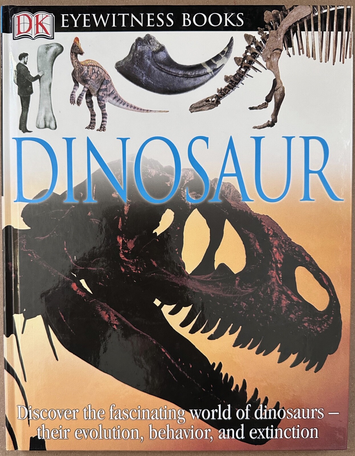 NORMAN: Dinosaur (DK Eyewitness Books) (DK Publishing, 2004)
