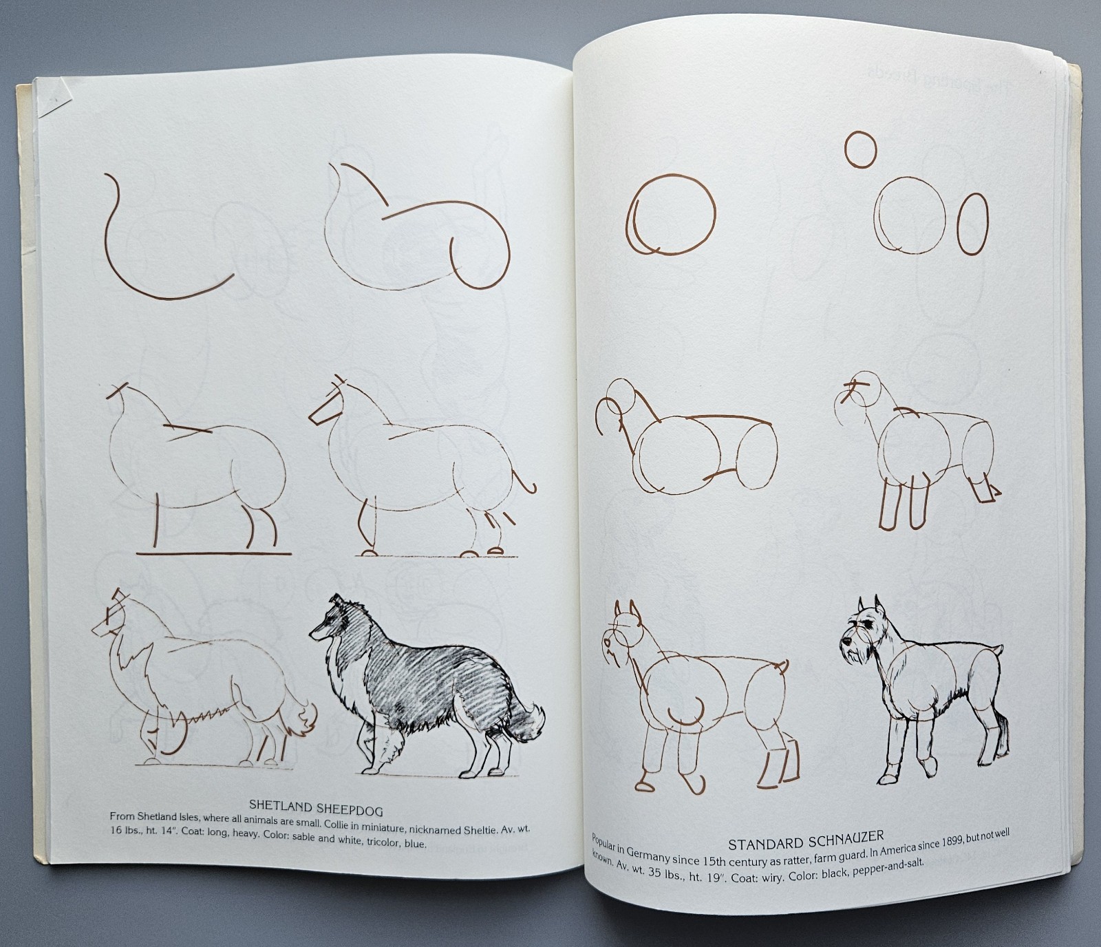 Draw 50 Animals Books Lot Lee J Ames Horses Cats Dogs Step-by-Step Drawing