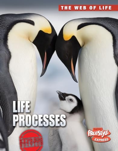 Life Processes (The Web of Life) – Paperback By Claybourne, Anna – VERY GOOD