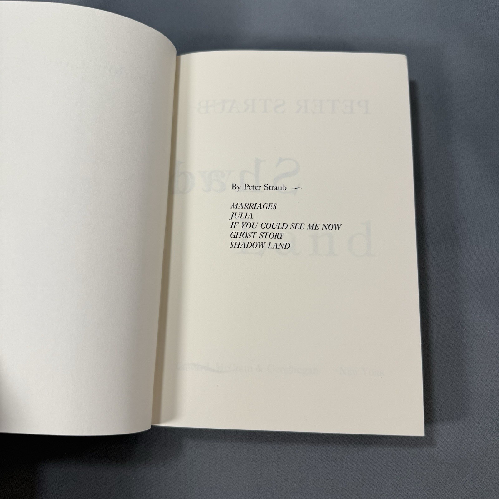 Shadow Land by Peter Straub First Edition First Printing