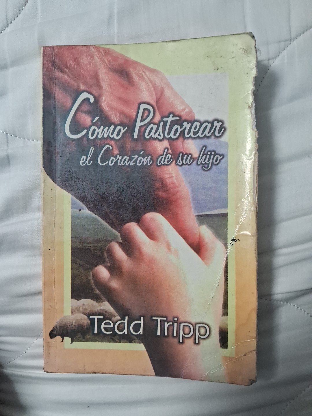 Como Pastorear El Corazon De Su Hijo Por Theodore A. Tripp