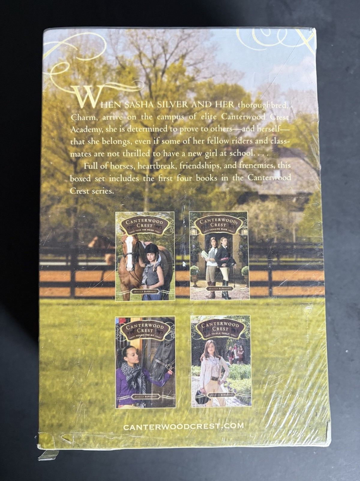 Canterwood Crest Stable of Stories: Take the Reins; Behind the Bit; Chasing Blue