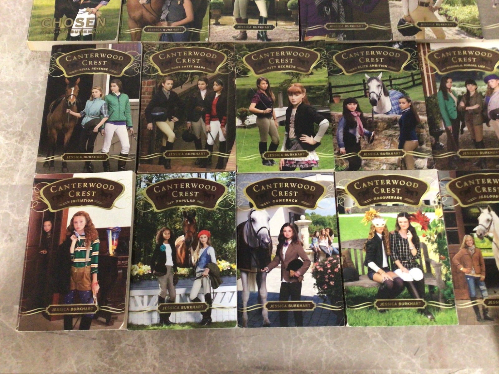 Lot Of 19 Canterwood Crest 1-18 & Super Special Jessica Burkhart PB Books