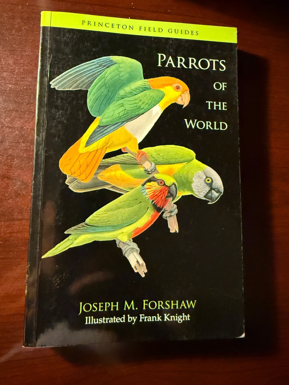 Parrots of the World (Princeton Field Guides) PB Beautifully Illustrated!