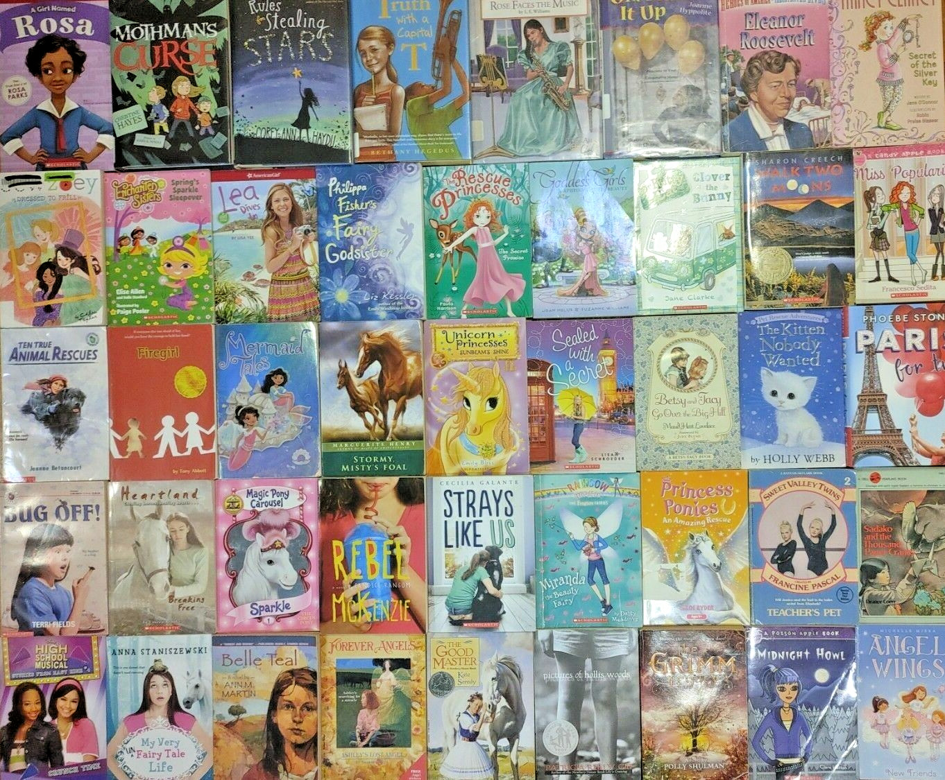 RANDOM Lot of 100 4th Grade AR Chapter Books RL Level 4.0-4.9 Homeschool Teacher