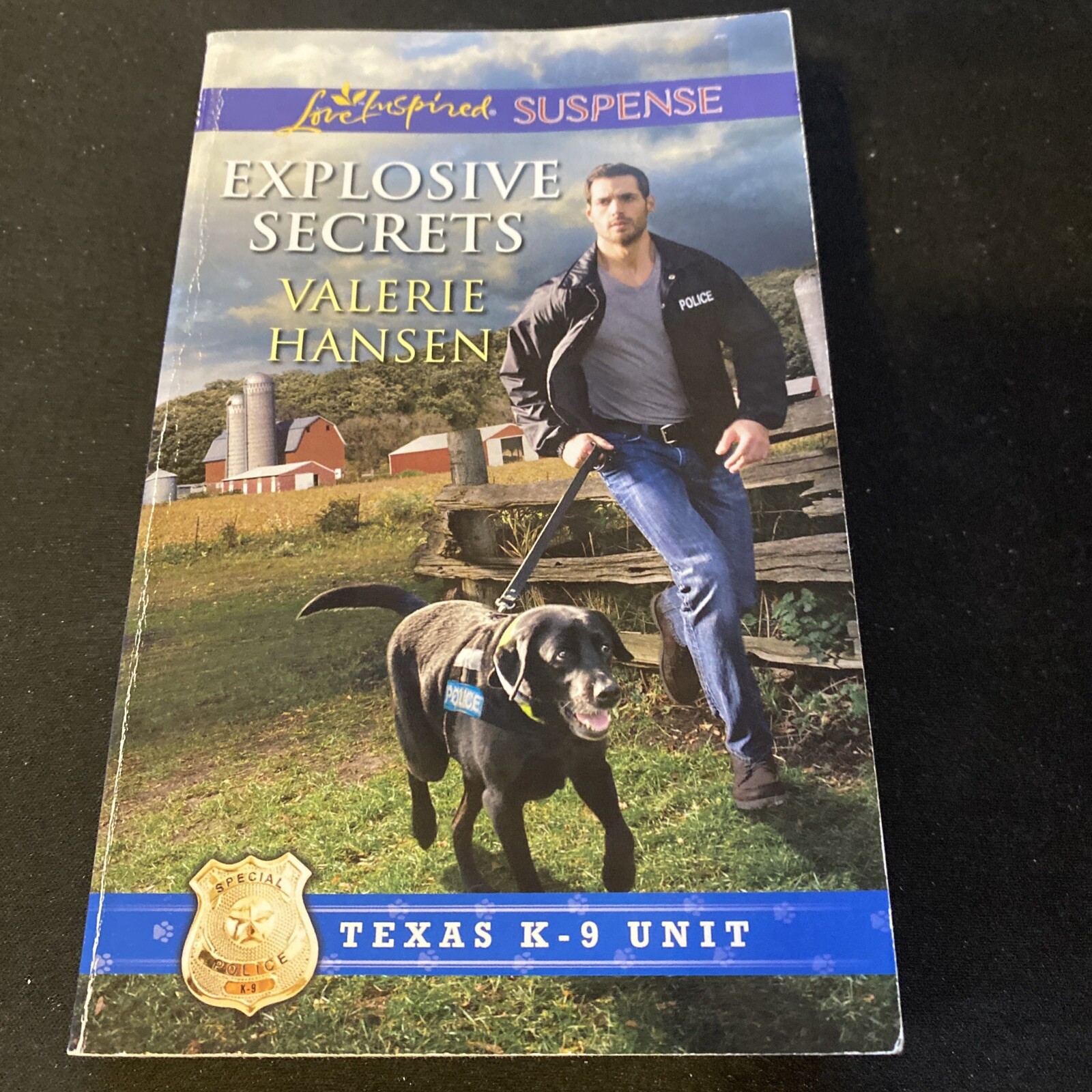 Explosive Secrets by Valerie Hansen