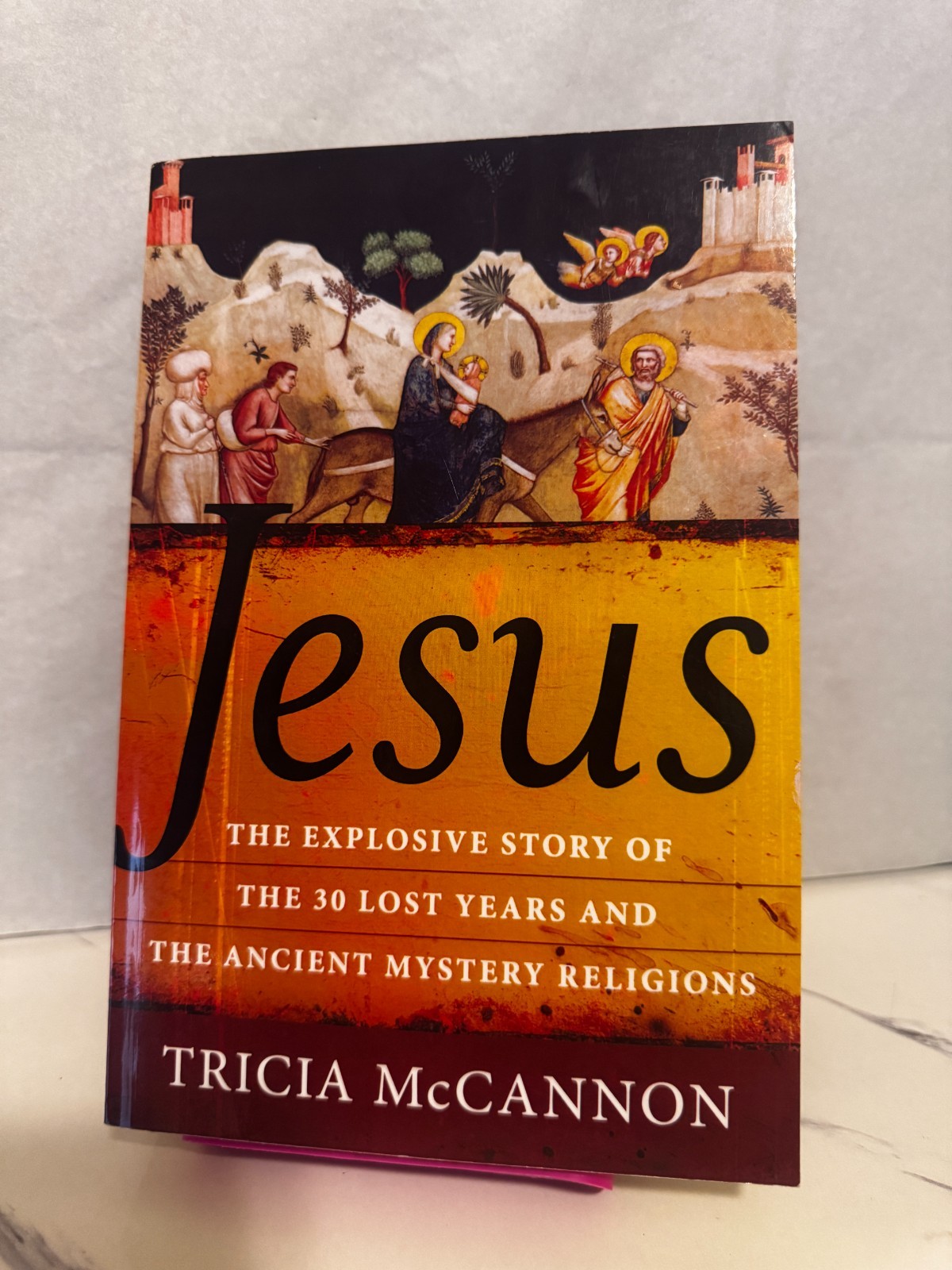 🦋📚Tricia McCannon Jesus (Paperback)📚🦋