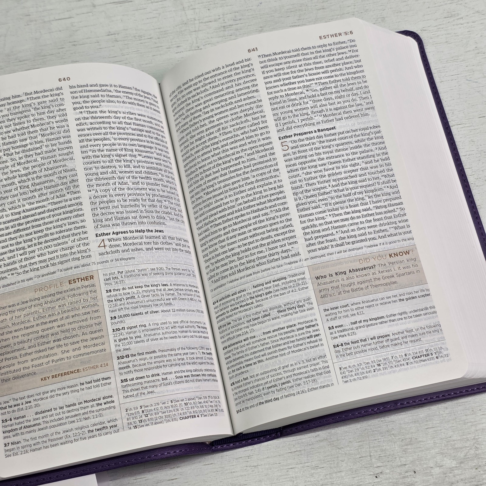 Crossway ESV Student Study Bible Lavender TruTone Emblem Design Notes Facts