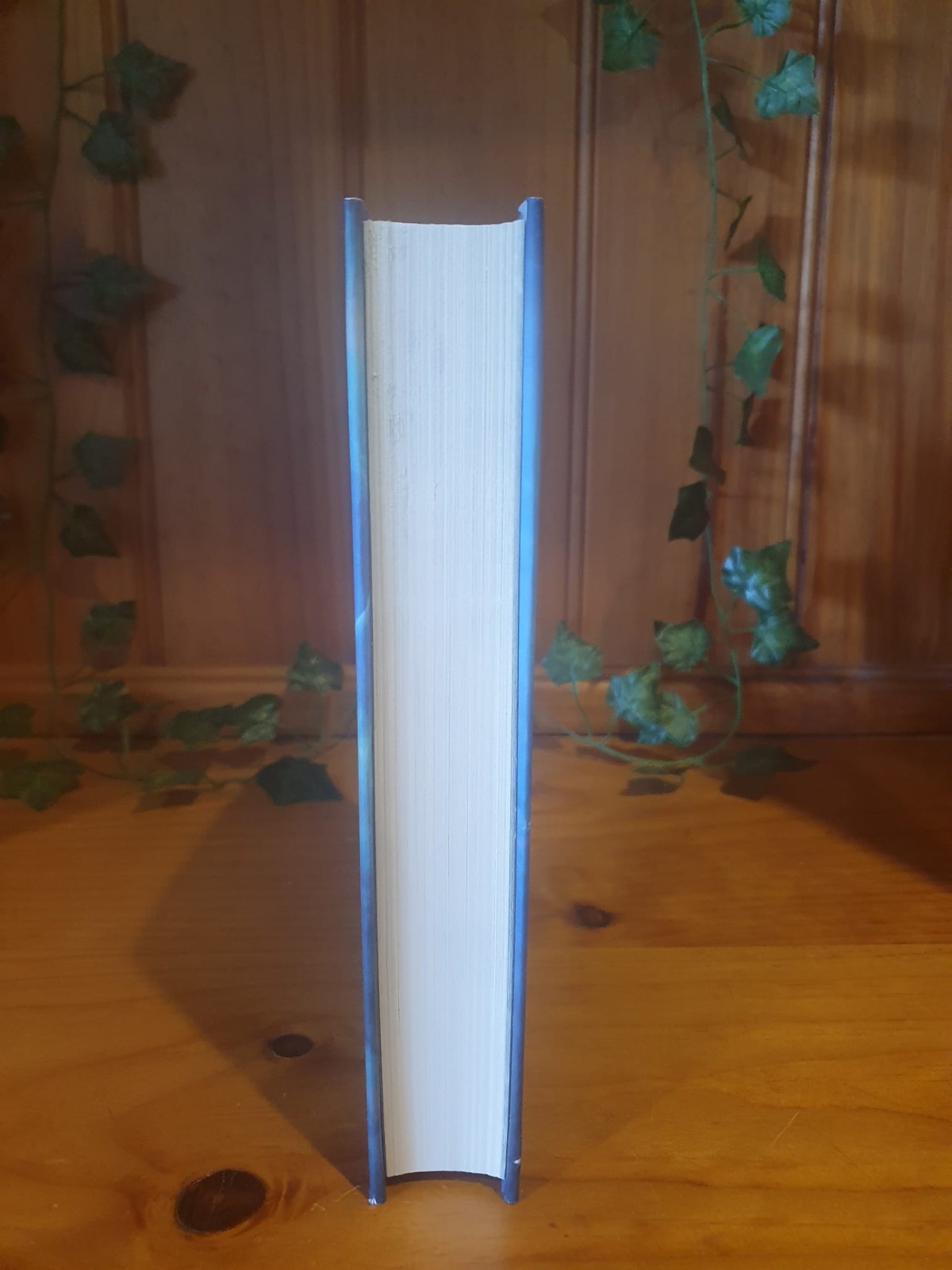 The Assassin’s Blade Sarah J. Maas Out of Print ORIGINAL COVER Hardcover VG