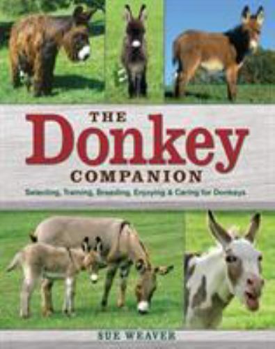 The Complete Guide to Caring for Donkeys Training Tips and Fun Facts