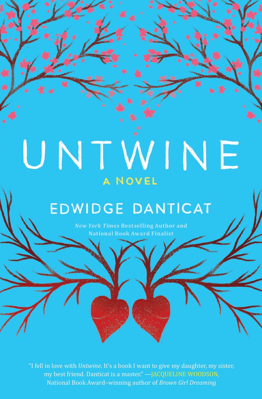 Untwine – paperback Danticat, Edwidge