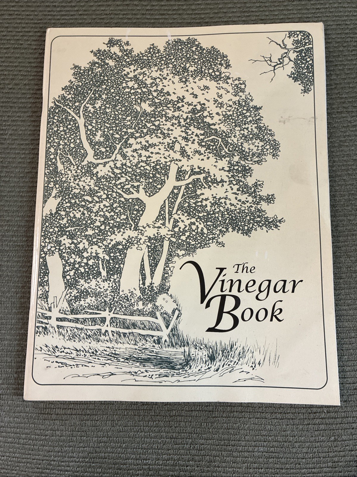 1994 Vinegar Book Emily Thacker Apple Cider Health Remedy Guide VG Natural Folk!