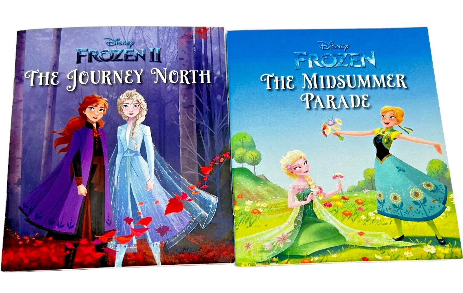 Lot of 21 Disney Frozen Paperback 5×4 Inches Books By Autumn Publishing 2020